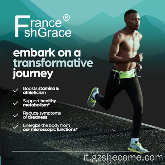 Shecome Shilajit Capsule 10:1 Estratto di supporto energetico